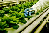 The Future of Food: Innovations in Sustainable Agriculture