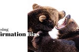 Addressing the Confirmation Bias (Img: Two bears fighting aggressively)