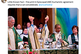 Sharing the Cat’s Gift: The Episcopal Church, the United Methodist Church, and the Historic…