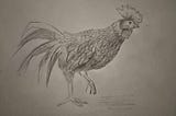 I started a drawing hobby two months ago. Here’s my progress