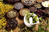 How Different Cultures Use Herbs — Part V. herbs in bowls. green leaves in white mortar and pestle. herbs. herbal medicine, iran. west asia