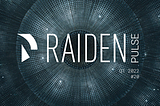 Raiden Pulse #20: Updates from Q1 2022