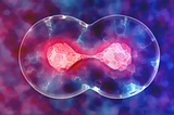 FROM SCIENCE FICTION TO REALITY: EXPLORING THE IMPACT OF CLONING ON SOCIETY