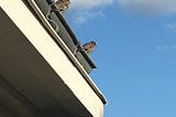 L’effondrement, c’est maintenant ?
