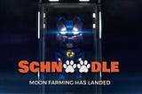 Schnoodle Launches its Moon Farming Platform