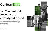 Protect Your Natural Resources with a Water Footprint Report