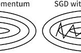 Batch SGD with Momentum.