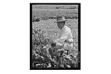 The 19th and 20th-Century Roots of Anti-Asian Land Laws