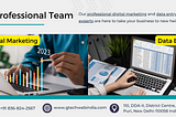 Professional Digital Marketing and Data Entry Expert