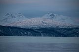 Narvik fjord, with snow covered mountains in the background and an icy cold fjord in the foreground.