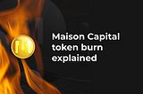 MSN token burn recap