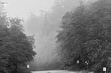 A stoplight hangs above an empty road that curves into the distacne surronded by trees and fog