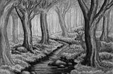 A heavily wooded forest with a stream running through the middle and a partially obscured buck behind a tree. All illustrations are in black and white.