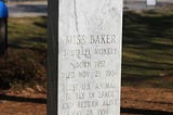 The Grave of Miss Baker: The United State’s First Monkeynaut