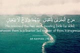 The Miraculous Barrier Between Salt Water and Fresh Water in the Quran