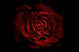 A ROSE BY ANY OTHER NAME…
How A Name Really Can Influence Who We Become.