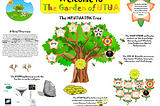 The Garden of UTOK: Part I