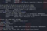 TryHackMe Writeup: Basic Pentesting Room