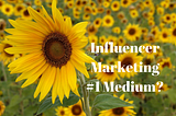 Influencer Marketing Number One Medium (plus 8 points and a puzzle)