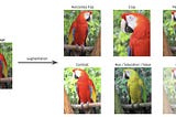 Why Image Augmentation — Part 1