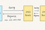 DNS Message — How to Read Query and Response Message
