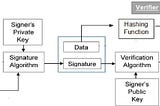 Why is so Much Important to have Digital Signatures?