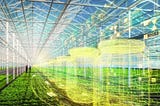 Future Agriculture: Artificial Intelligence and Farming