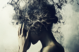 External and Internal Challenges
