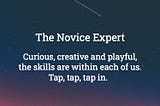 The Novice Expert: Taking the Moron out of Oxymoron