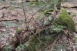 A Split-Filled Rock Near Richmond, Vermont