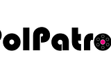 PolPatrol — Validator for Polkadot Runtimes