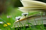 Your Story Is Ongoing