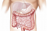 Colon Cleansing…Why It’s Important For Your Health