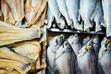 How to Turn Any Fish into Wearable Clothing