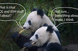 How to Get Data from an SQL Database into pandas via SSH