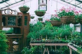 Help Create Greenhouse & Holistic Remedy Business