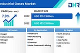 Industrial Gases Market Size to Reach USD 219.2Billion by 2032 — DataHorizzon Research