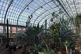 Places to Enjoy Chicago’s Flora