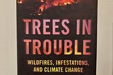 ‘Trees in Trouble’ by Daniel Mathews