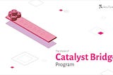 The vision of Catalyst Bridge program