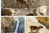 Hiking in the Dead Sea - From Ein Gedi and Wadi David to Wadi Arugot