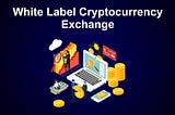 Crypto Exchanges: Reshaping the markets for digital assets.