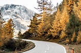 A wavy road is surrounded by tall trees with yellow leaves. A snow capped mountain is in the distance