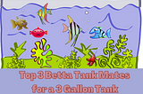 The Top 3 Best Betta Tank Mates for a 3 Gallon Tank!