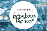 SEED TO SEQUOIA : Breaking The Ice