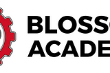 My Experience at the Blossom Academy Fellowship Program