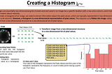 (Bio)Image Analysis with Python Everything You Need to Know about Histograms