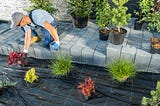 Transform Your Yard with Professional Landscaping