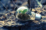 Photo by Singkham from Pexels. Plant in a light bulb.