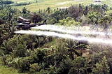 Remembering the Children of Agent Orange: How Dioxin Damages Generation After Generation